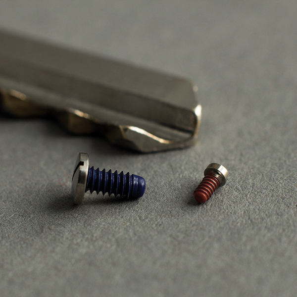 Coating of micro screws for screw locking